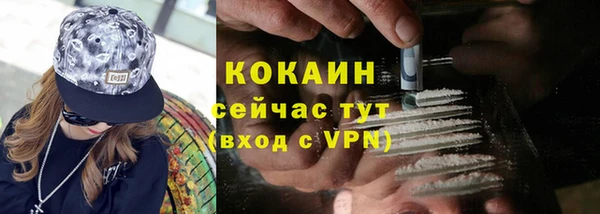 стаф Богданович