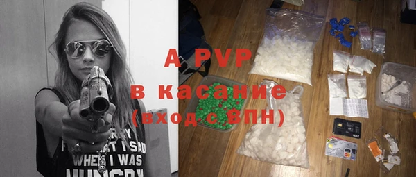 PSILOCYBIN Пестово